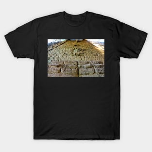 Honduras - Site archéologique de Copán Ruinas T-Shirt